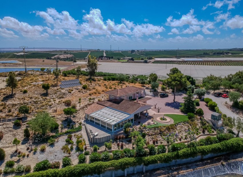 Resale - Country House - San Miguel de Salinas - Torremendo
