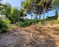 Resale - Plot / Land - Alfas del Pí - Colonia Escandinavia-Cautivador