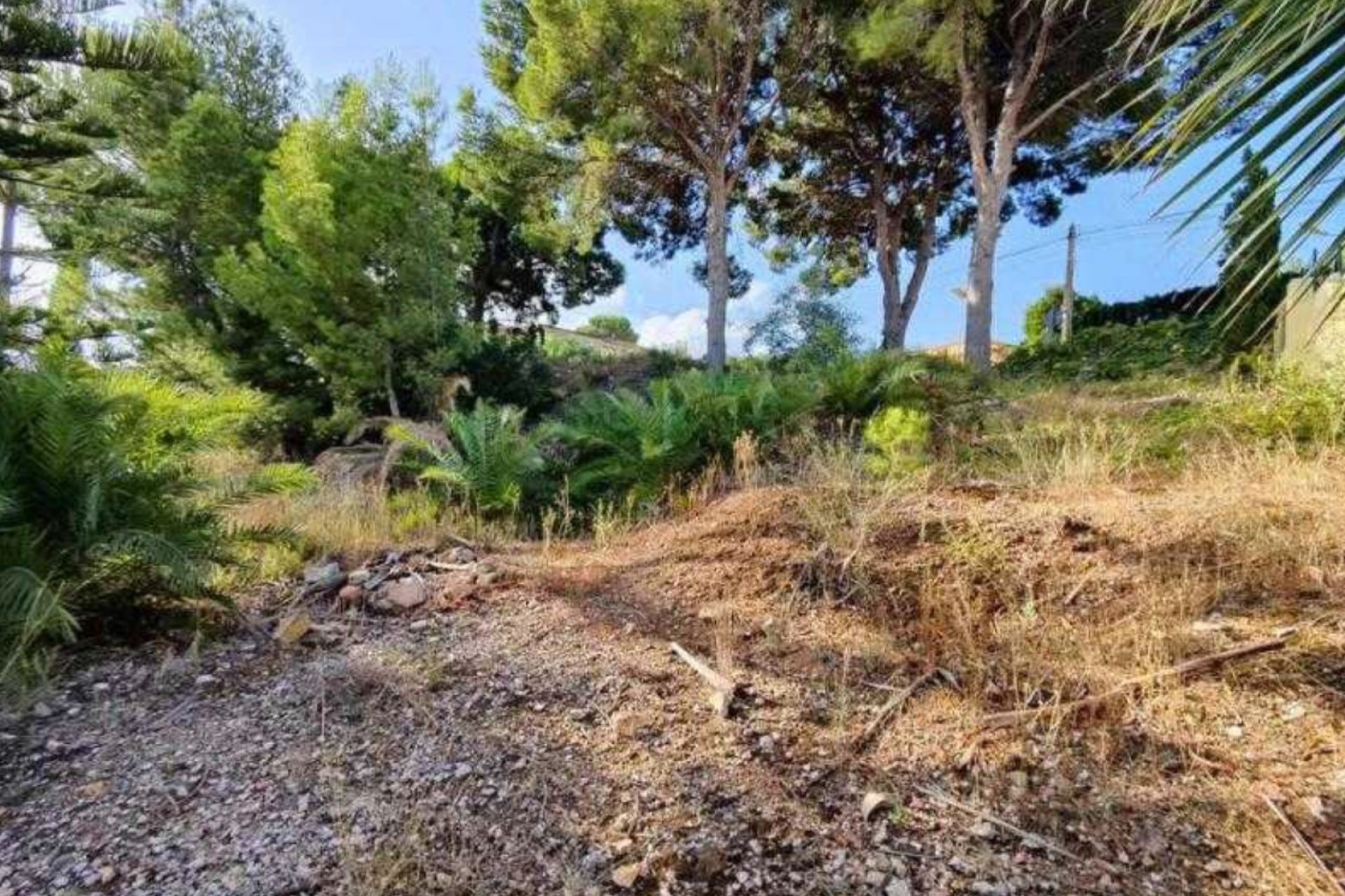 Resale - Plot / Land - Alfas del Pí - Colonia Escandinavia-Cautivador