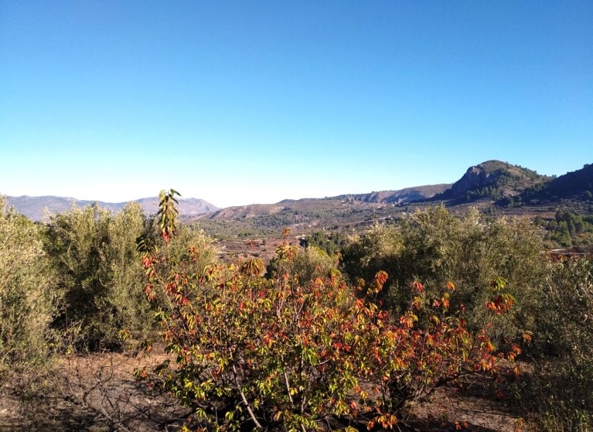 Resale - Plot / Land - Benimarfull