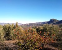 Resale - Plot / Land - Benimarfull