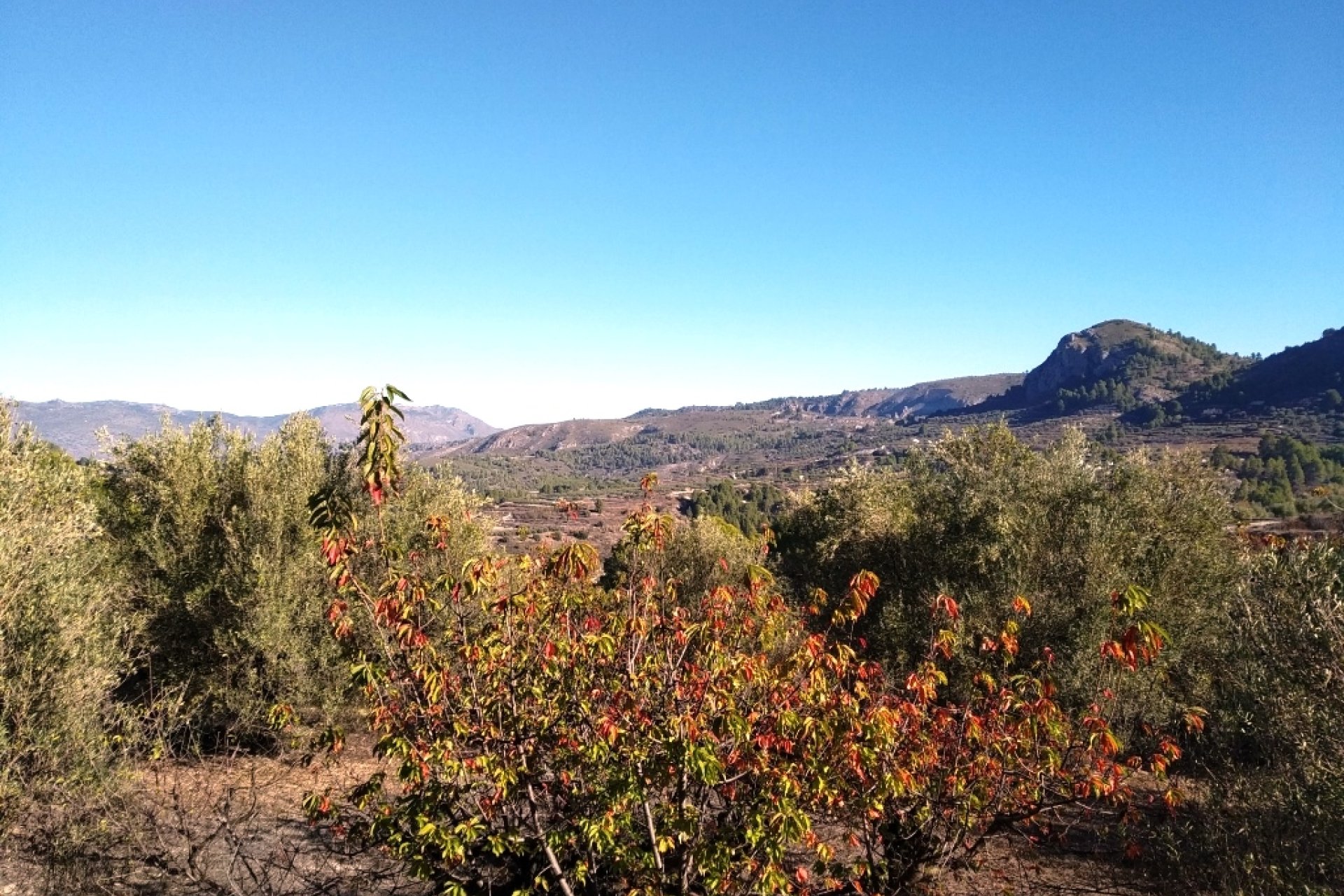 Resale - Plot / Land - Benimarfull