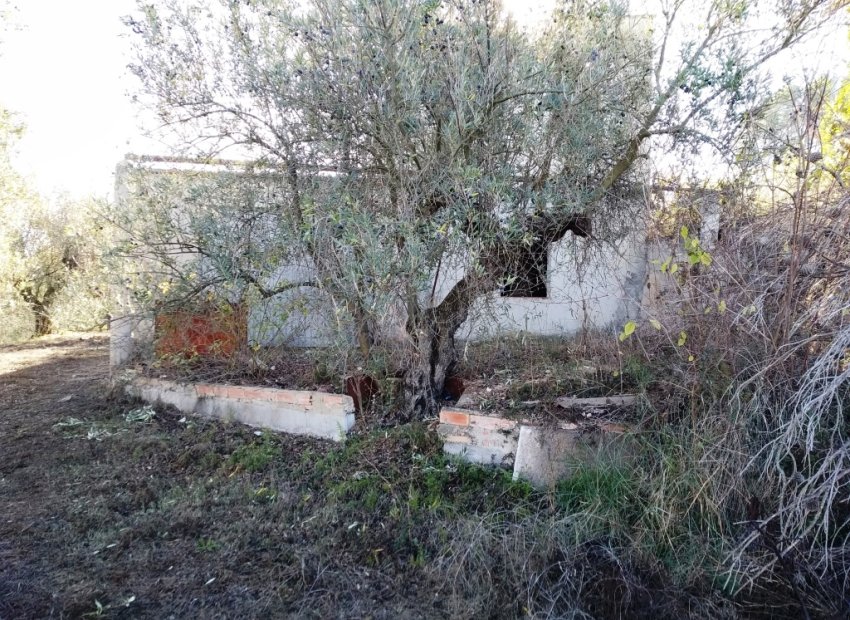 Resale - Plot / Land - Benimarfull