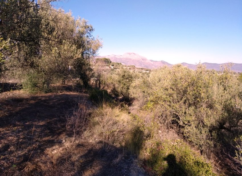 Resale - Plot / Land - Benimarfull