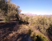 Resale - Plot / Land - Benimarfull