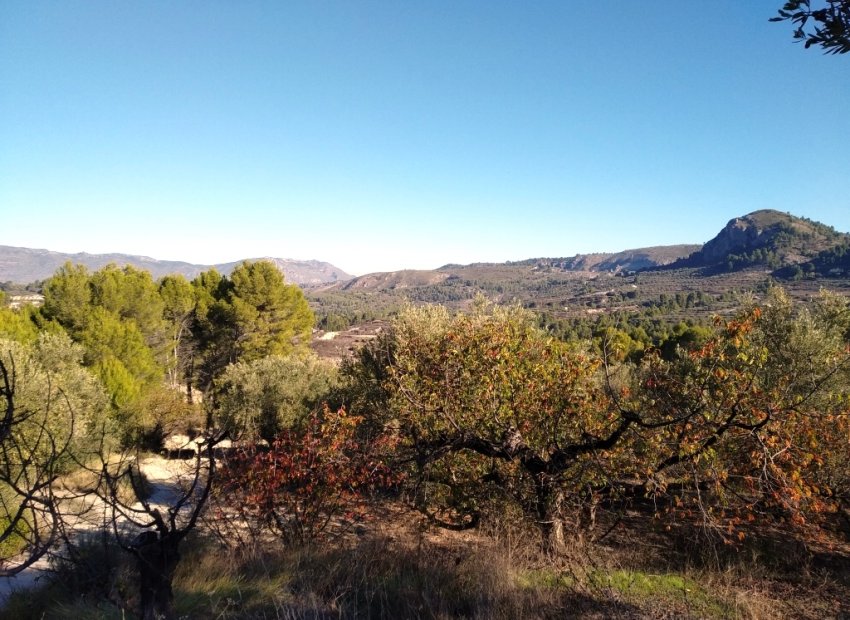 Resale - Plot / Land - Benimarfull