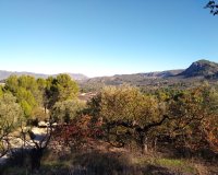 Resale - Plot / Land - Benimarfull