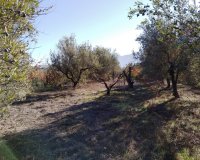 Resale - Plot / Land - Benimarfull
