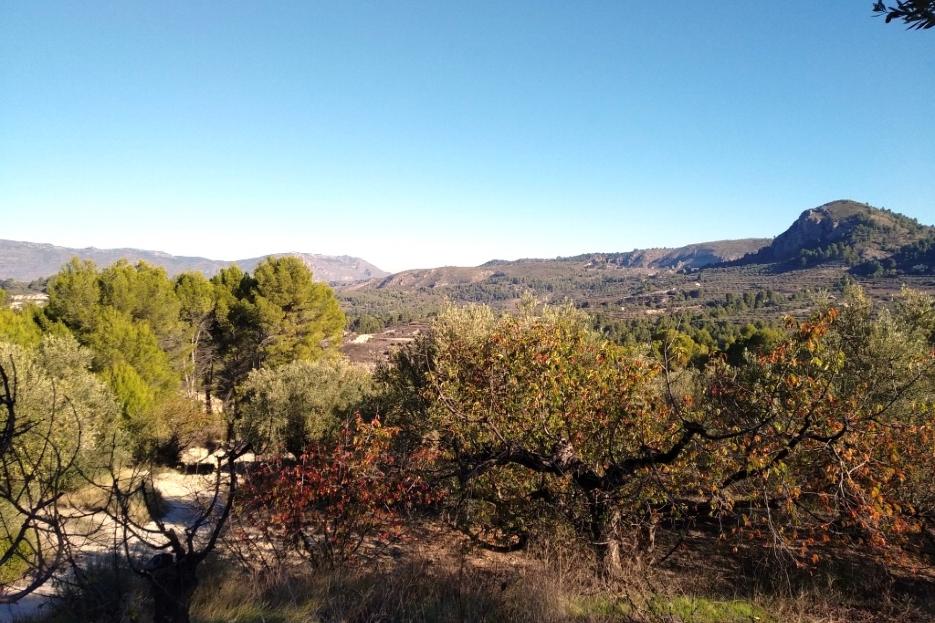 Resale - Plot / Land - Benimarfull