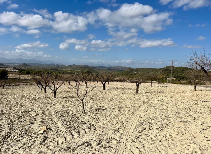 Resale - Plot / Land - BULLAS - Costa Calida