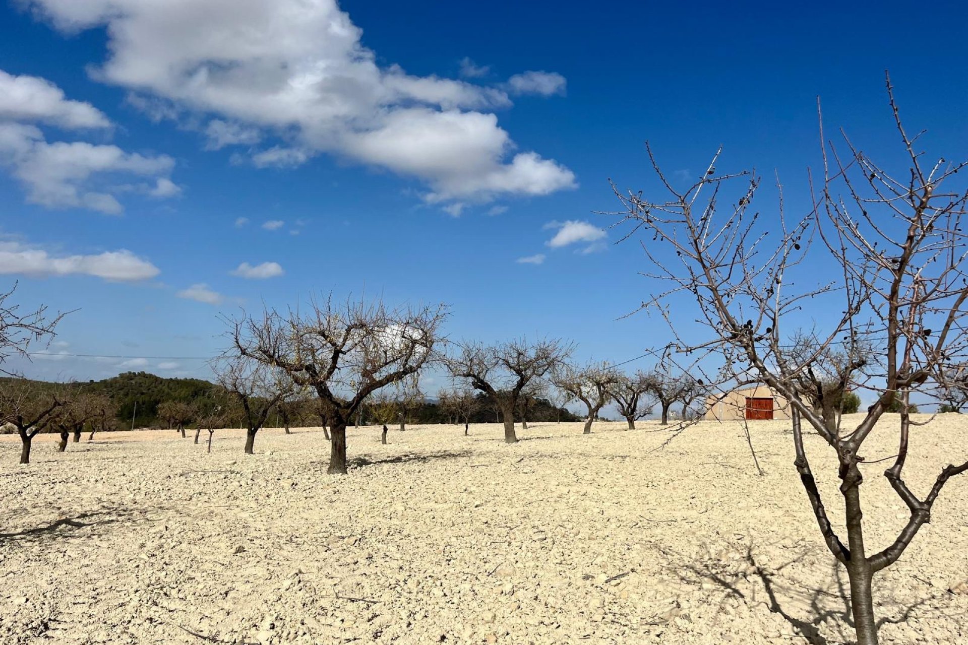 Resale - Plot / Land - BULLAS - Costa Calida