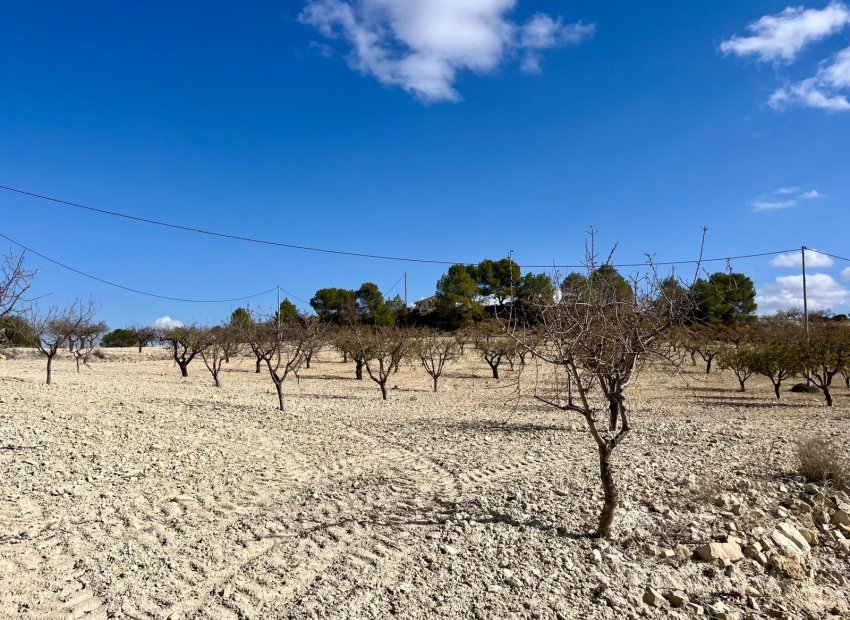 Resale - Plot / Land - BULLAS - Costa Calida