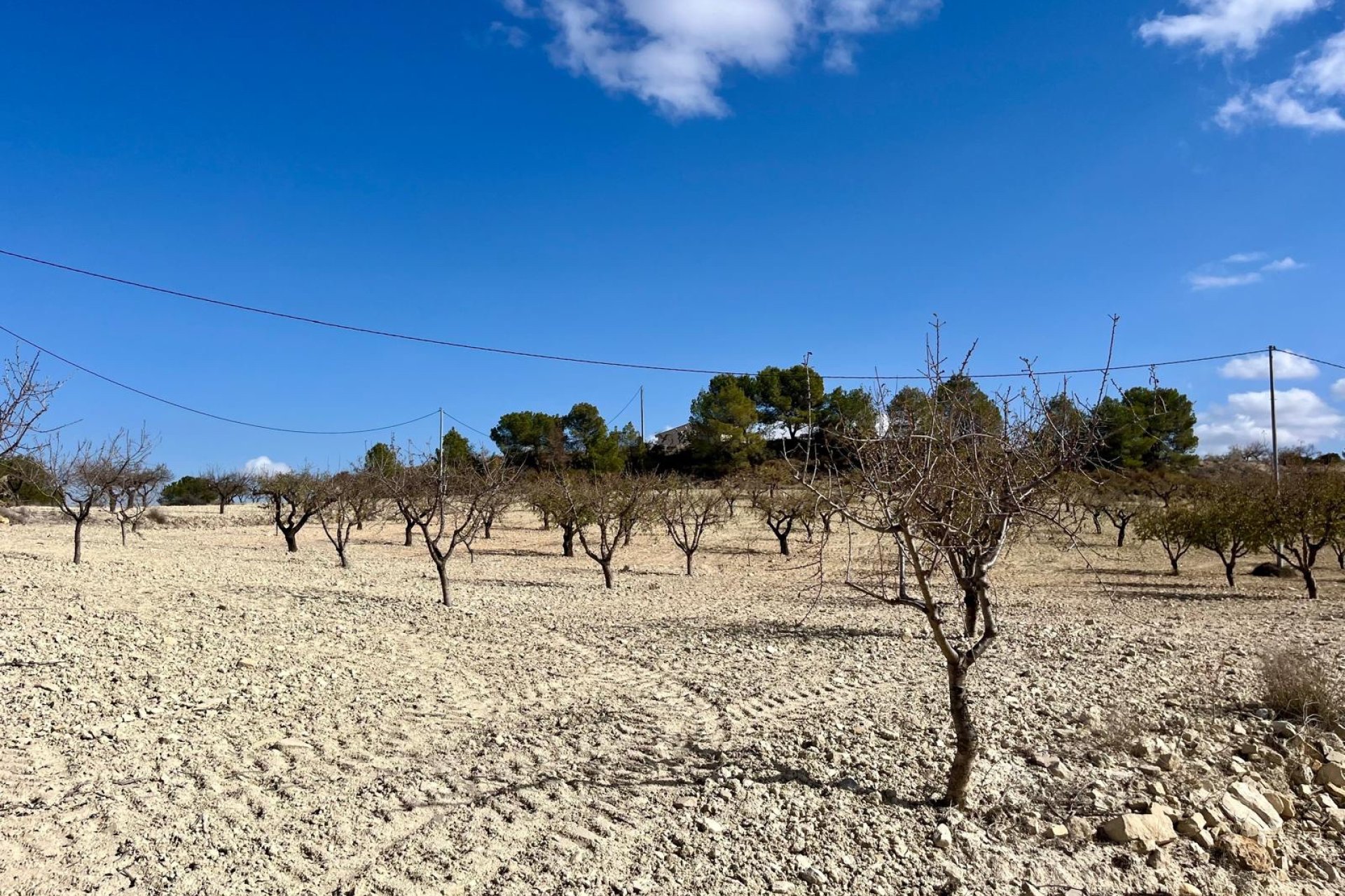 Resale - Plot / Land - BULLAS - Costa Calida
