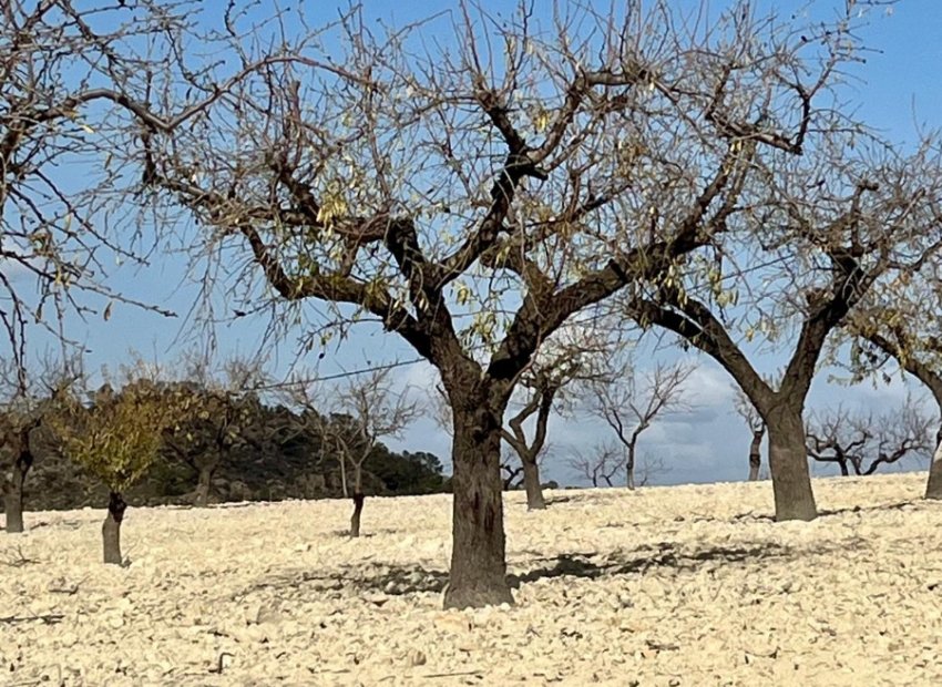 Resale - Plot / Land - BULLAS - Costa Calida