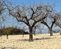 Resale - Plot / Land - BULLAS - Costa Calida