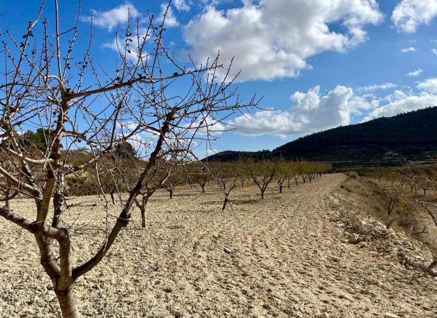 Resale - Plot / Land - BULLAS - Costa Calida