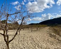 Resale - Plot / Land - BULLAS - Costa Calida