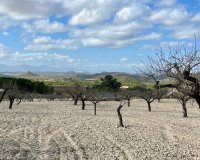Resale - Plot / Land - BULLAS - Costa Calida