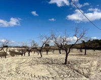 Resale - Plot / Land - BULLAS - Costa Calida