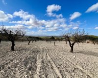 Resale - Plot / Land - BULLAS - Costa Calida