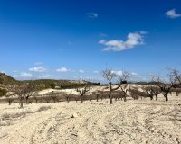 Resale - Plot / Land - BULLAS - Costa Calida