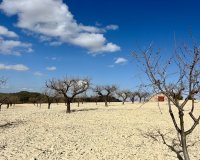 Resale - Plot / Land - BULLAS - Costa Calida
