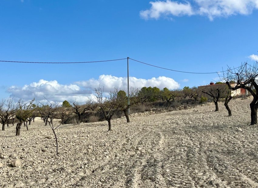 Resale - Plot / Land - BULLAS - Costa Calida