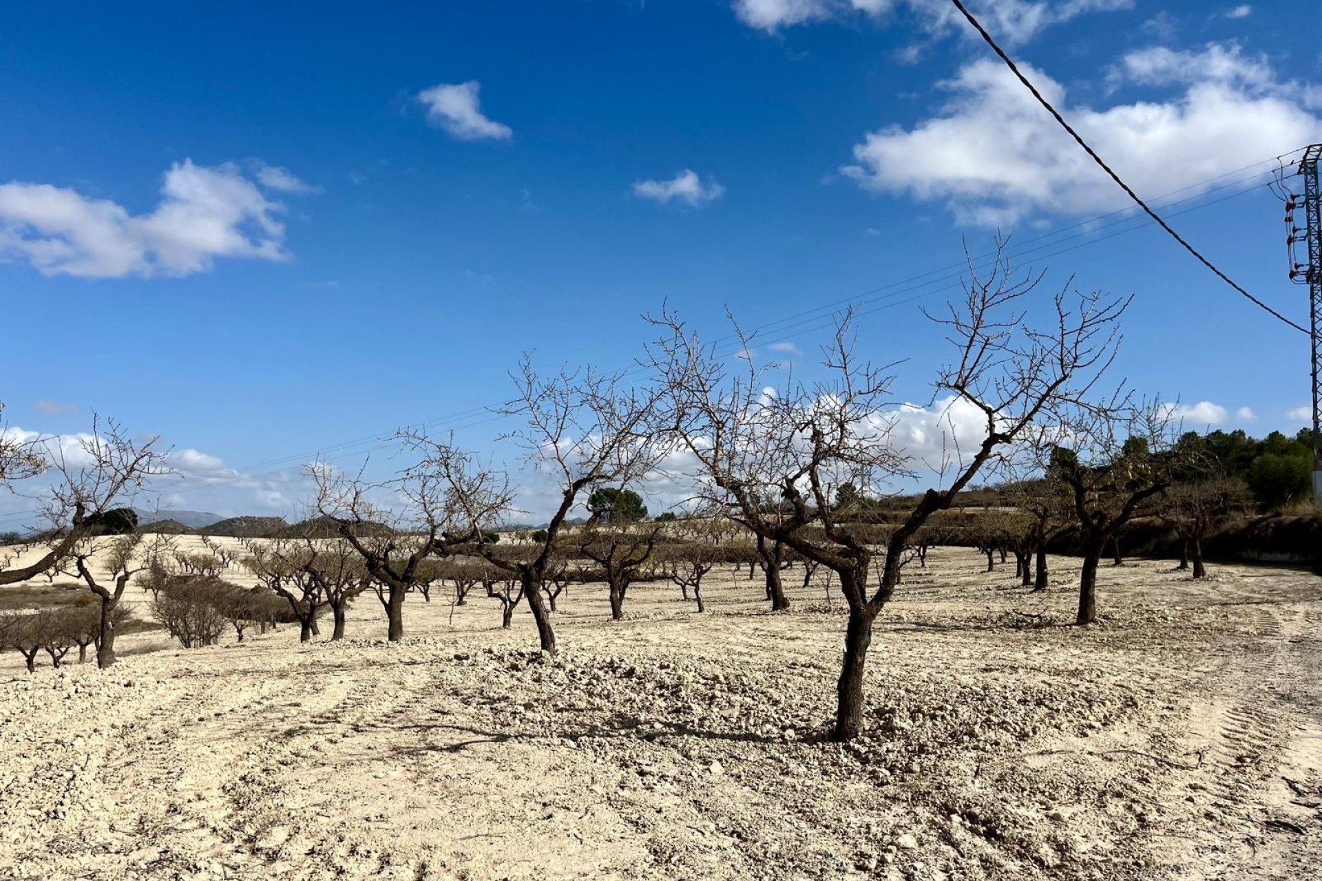Resale - Plot / Land - BULLAS - Costa Calida