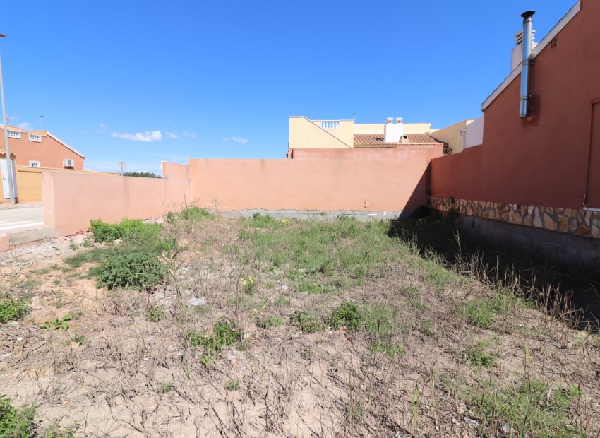 Resale - Plot / Land - Daya Nueva - Daya Nueva - Town