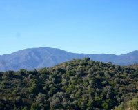 Resale - Plot / Land - Estepoa - Selwo