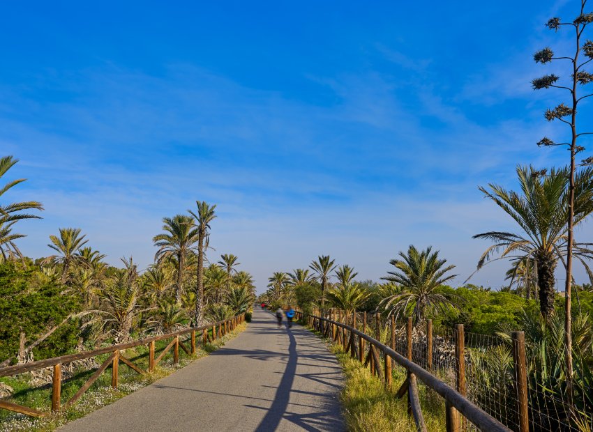 Resale - Plot / Land - Guardamar del Segura - Pueblo