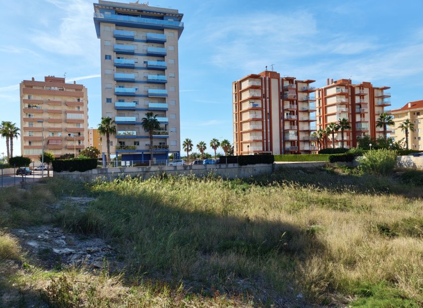 Resale - Plot / Land - Guardamar del Segura