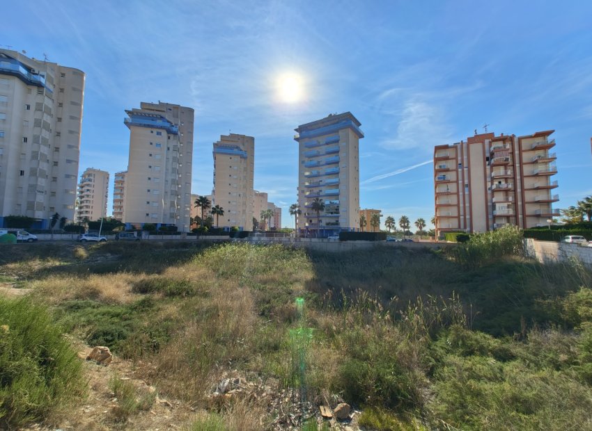 Resale - Plot / Land - Guardamar del Segura