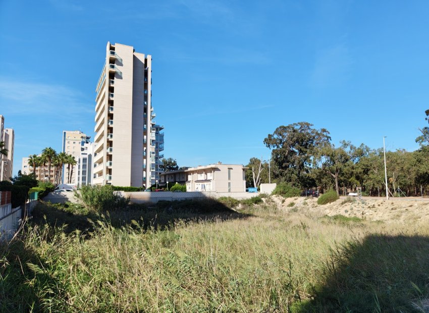 Resale - Plot / Land - Guardamar del Segura