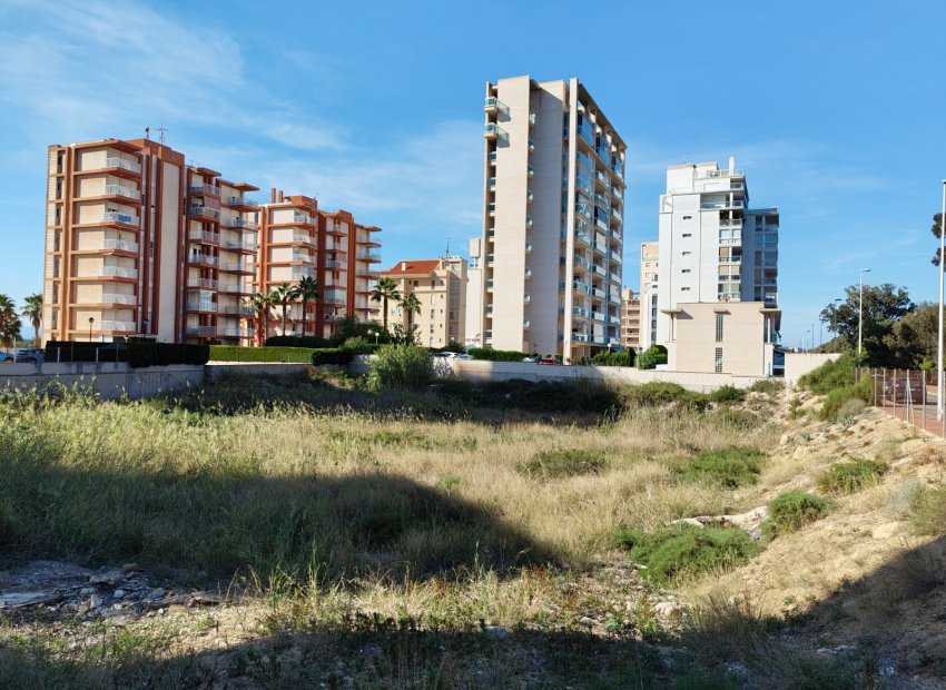 Resale - Plot / Land - Guardamar del Segura