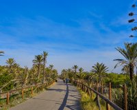 Resale - Plot / Land - Guardamar del Segura