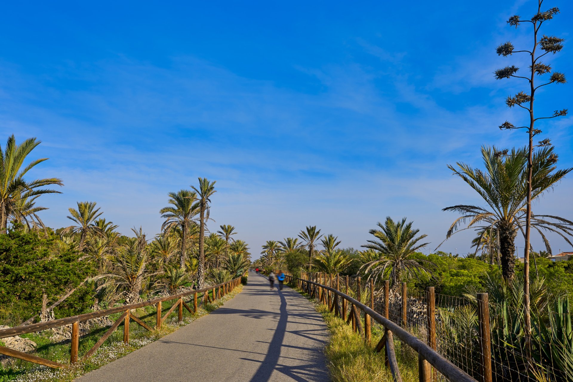 Resale - Plot / Land - Guardamar del Segura