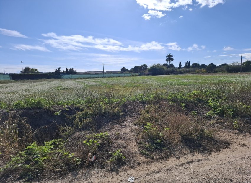 Resale - Plot / Land - Guardamar del Segura