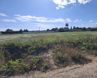 Resale - Plot / Land - Guardamar del Segura