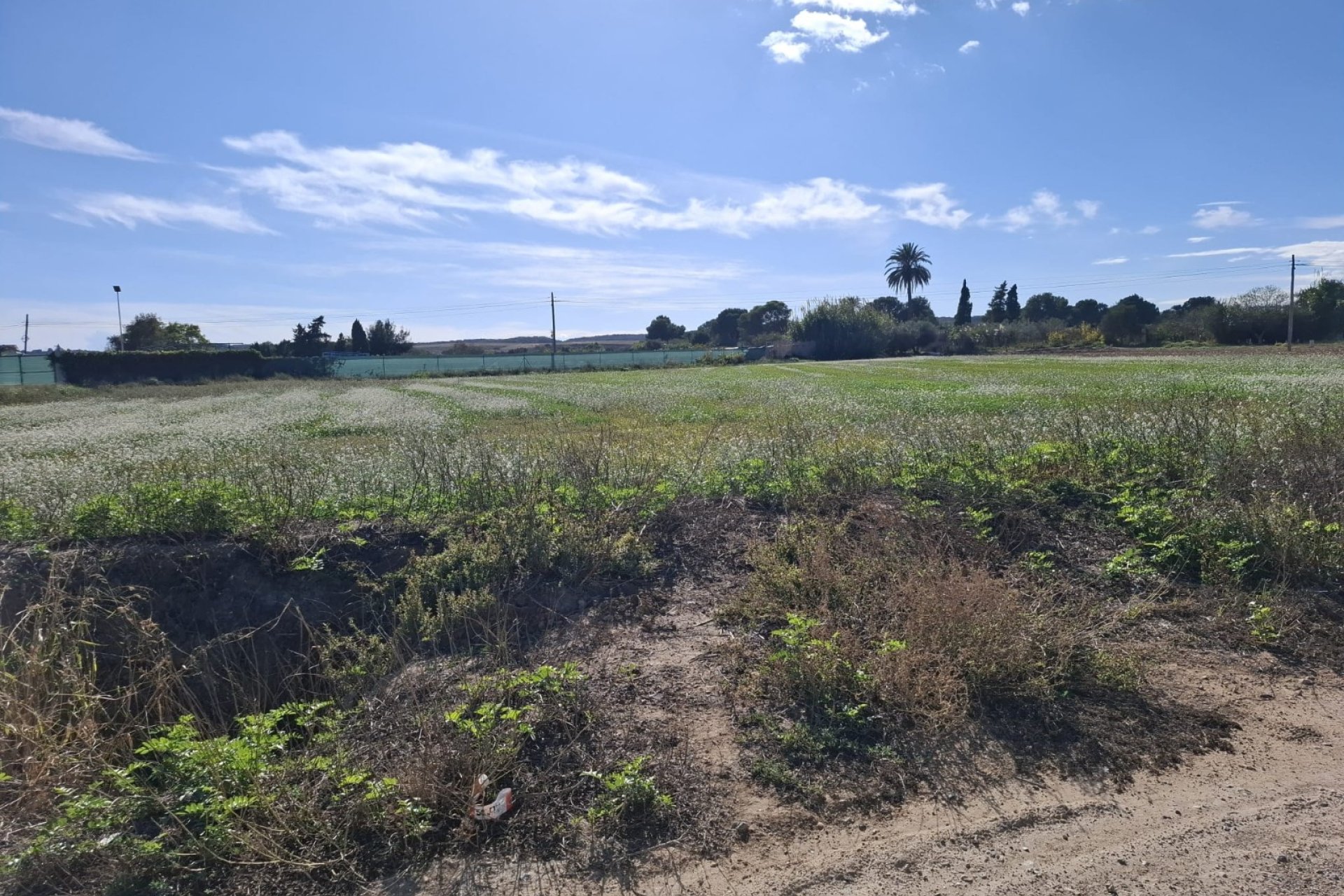Resale - Plot / Land - Guardamar del Segura