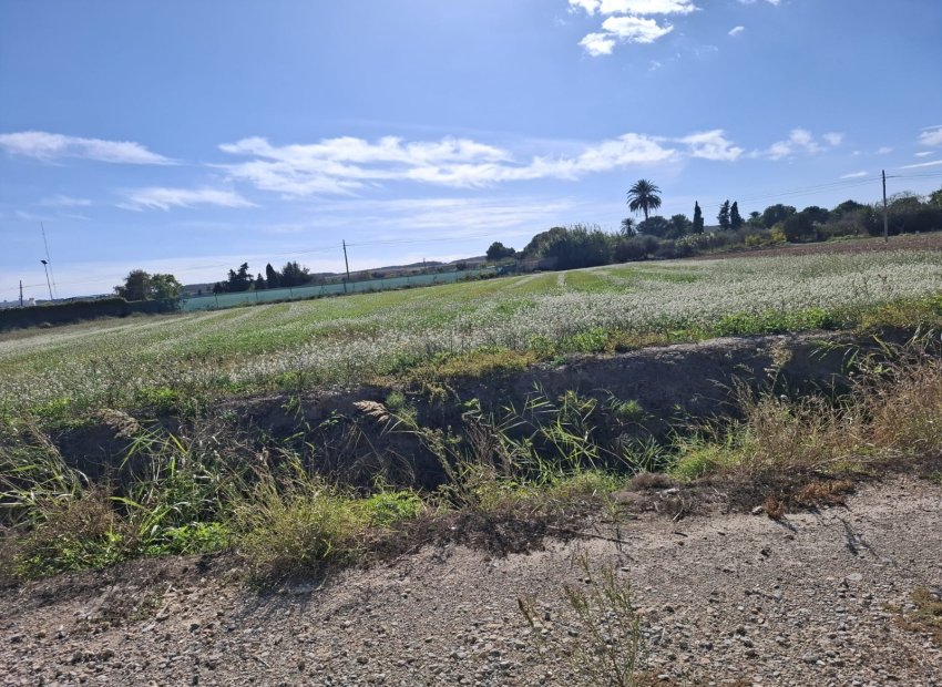 Resale - Plot / Land - Guardamar del Segura