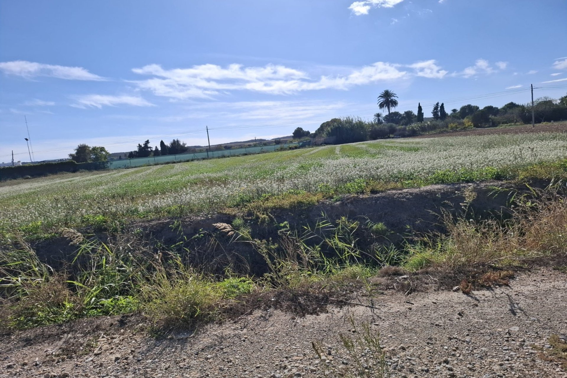 Resale - Plot / Land - Guardamar del Segura