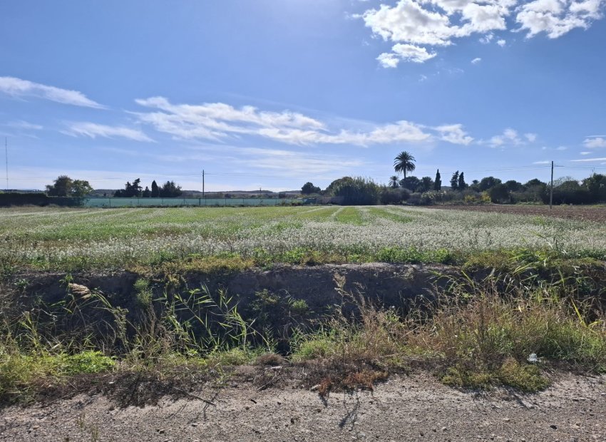 Resale - Plot / Land - Guardamar del Segura