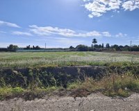 Resale - Plot / Land - Guardamar del Segura