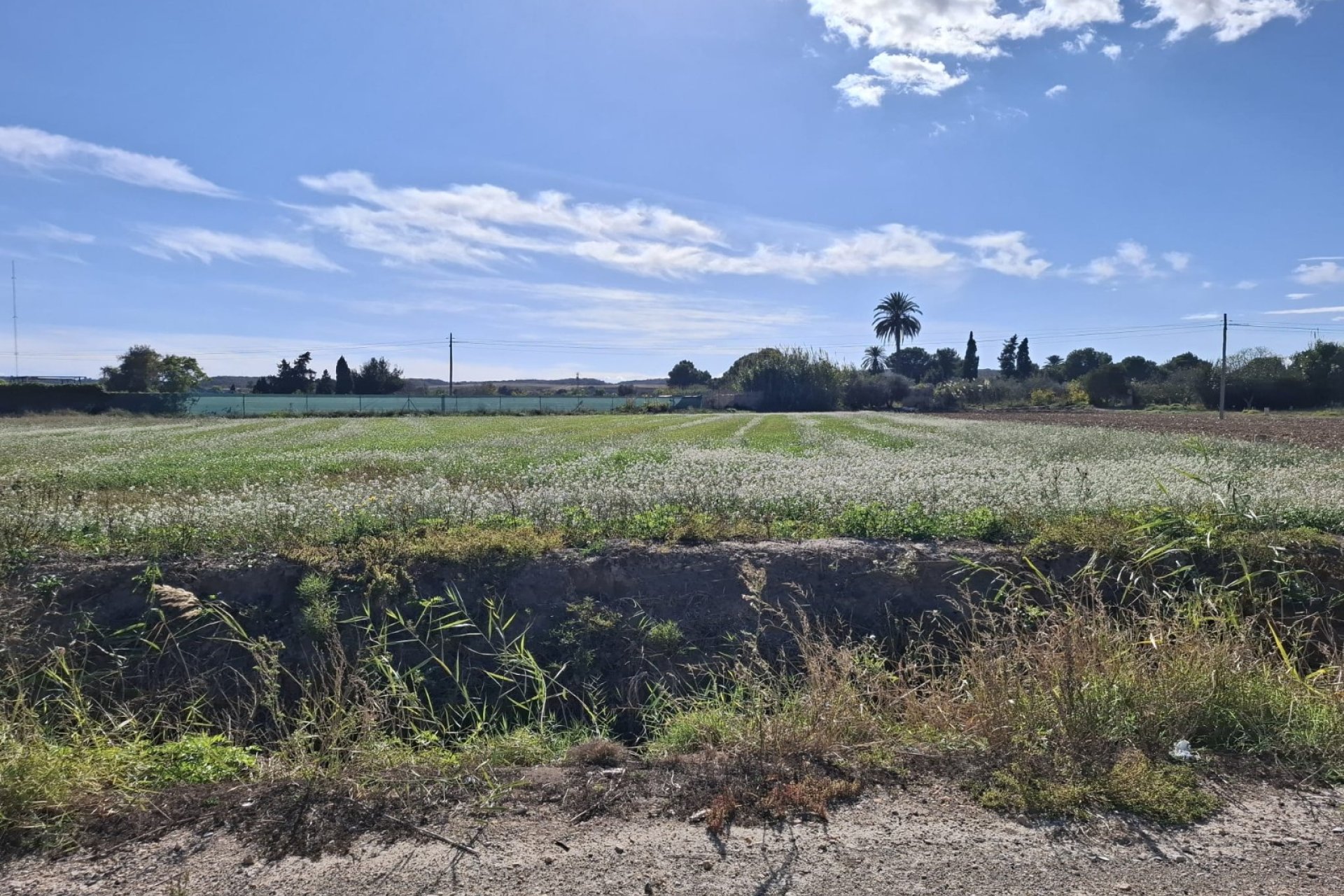 Resale - Plot / Land - Guardamar del Segura