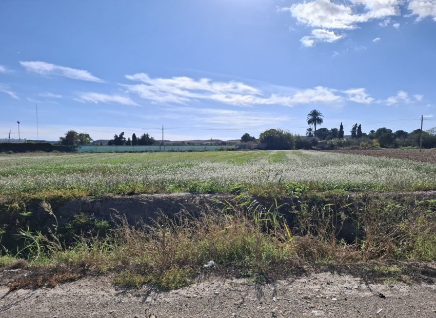 Resale - Plot / Land - Guardamar del Segura