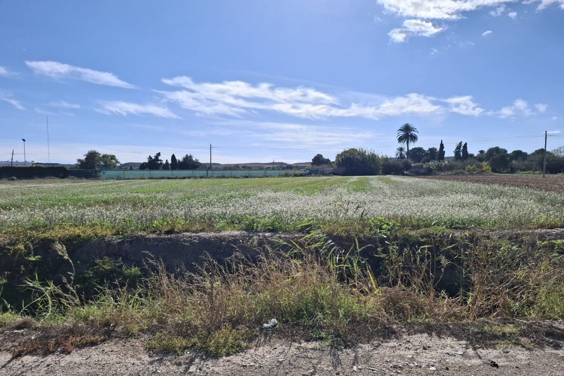 Resale - Plot / Land - Guardamar del Segura
