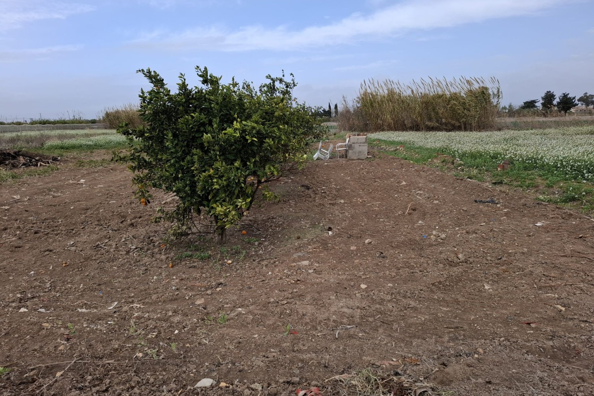 Resale - Plot / Land - Guardamar del Segura