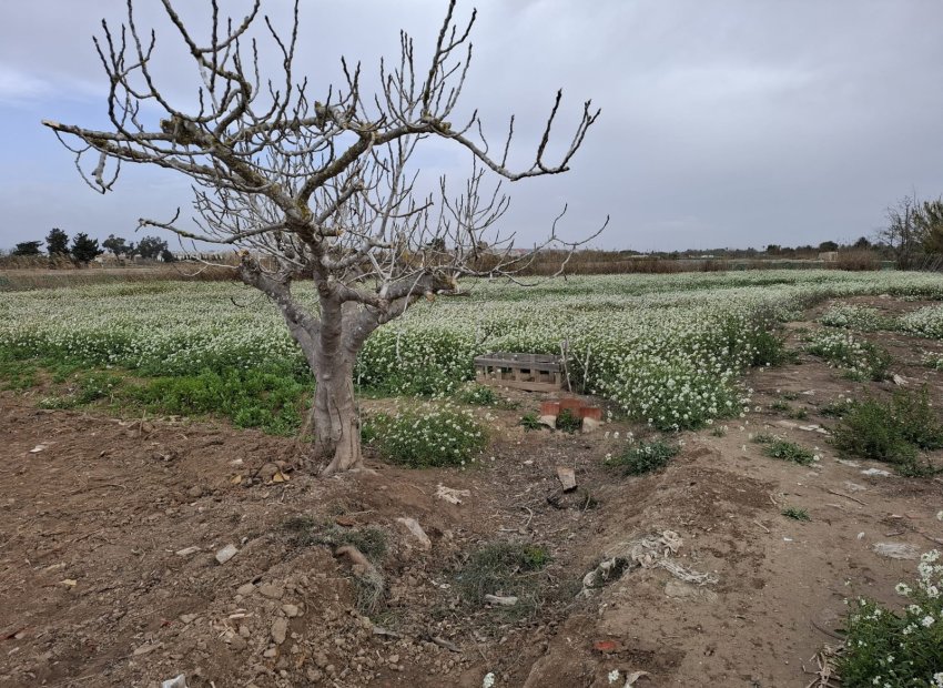 Resale - Plot / Land - Guardamar del Segura