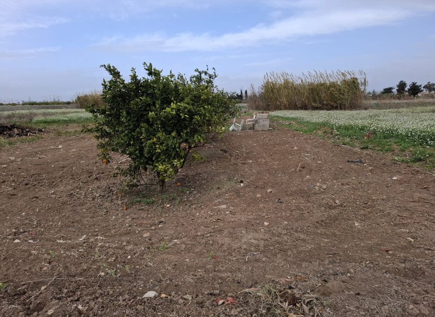 Resale - Plot / Land - Guardamar del Segura